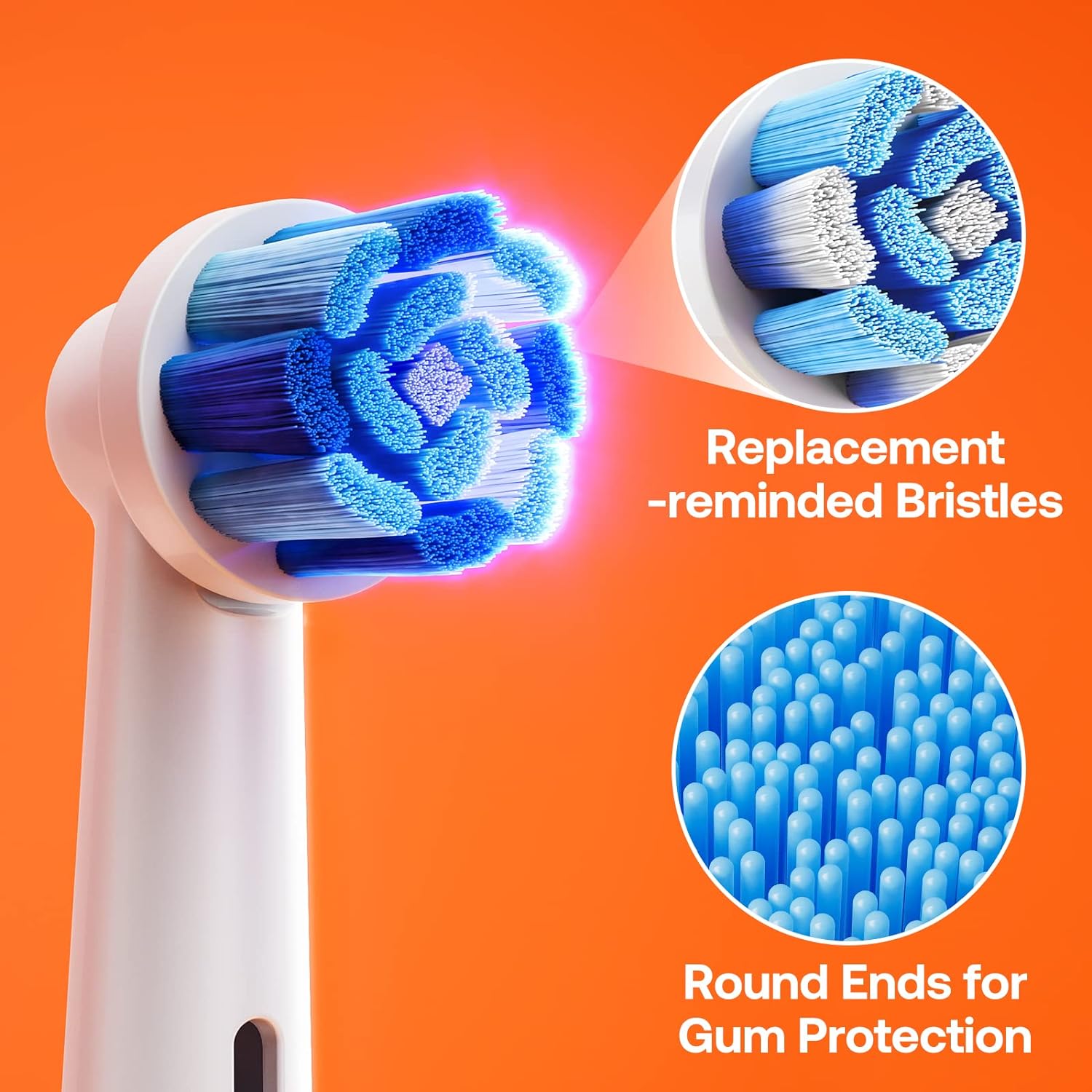 Bitvae R2 Toothbrush Heads x5