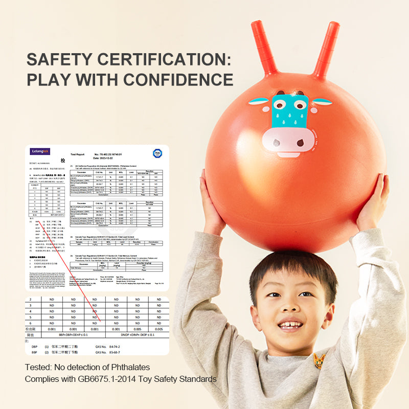 Mideer Sensory Training Bounce Ball: Goofy Horse