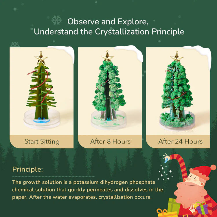 MiDeer Magic Christmas Tree