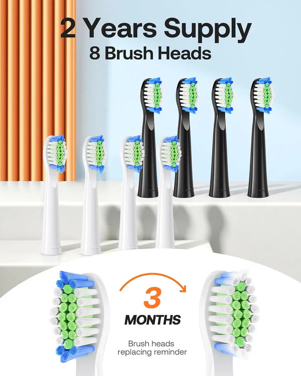 Bitvae D2 Bundle 2 Pack Electric Toothbrush Black & White, Ultrasonic with 8 Brush Heads, ADA Accepted