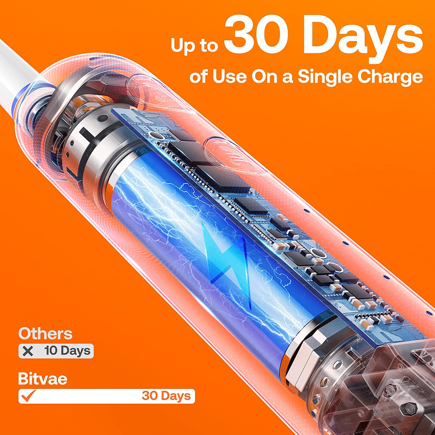 Bitvae R2 Rotating Electric Toothbrush, with 8 Brush Heads, ADA Accepted