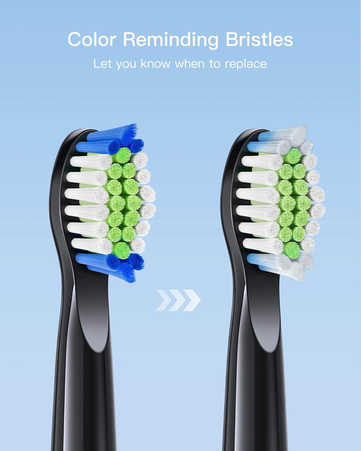Bitvae D2 Toothbrush Heads x4