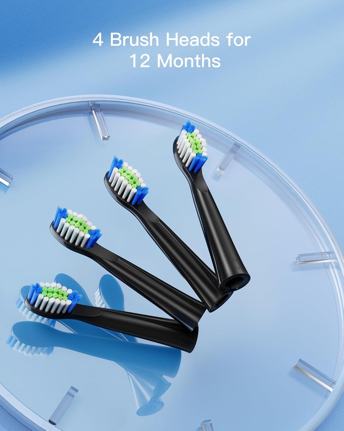 Bitvae D2 Toothbrush Heads x4