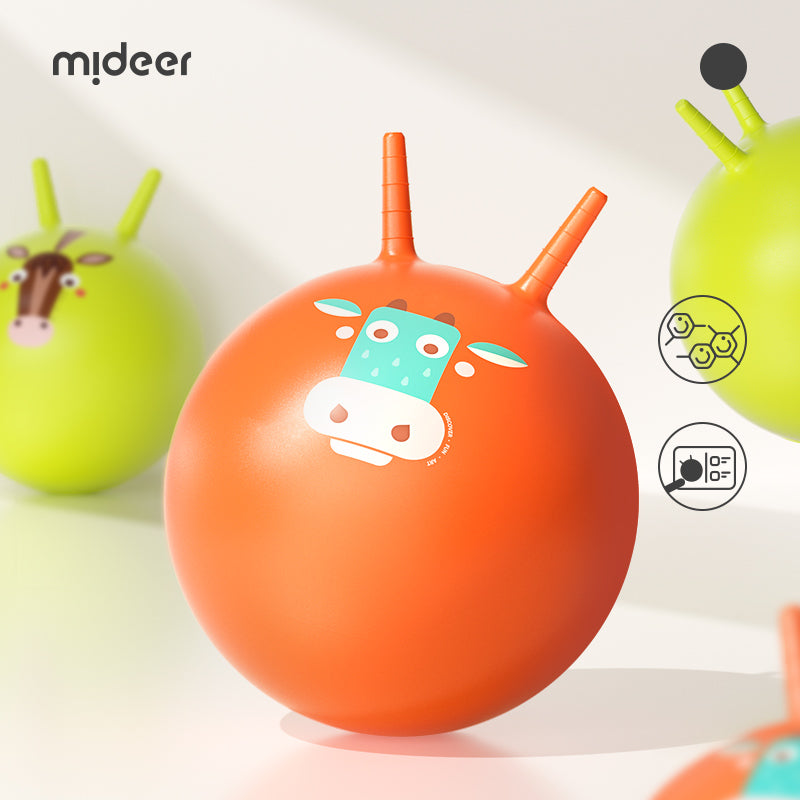 Mideer Sensory Training Bounce Ball: Goofy Horse